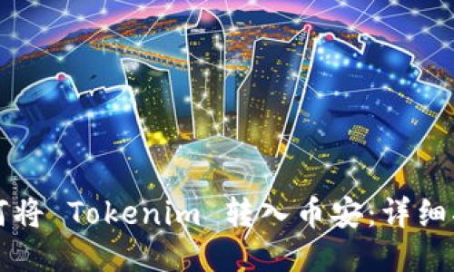 如何将 Tokenim 转入币安:详细指南