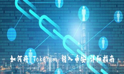 如何将 Tokenim 转入币安:详细指南