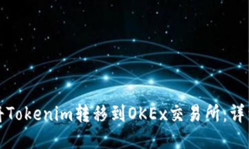 如何将Tokenim转移到OKEx交易所:详细指南