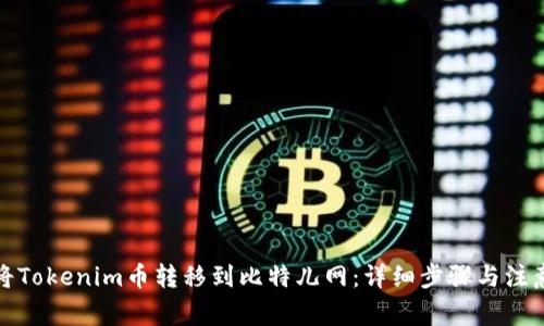 如何将Tokenim币转移到比特儿网:详细步骤与注意事项