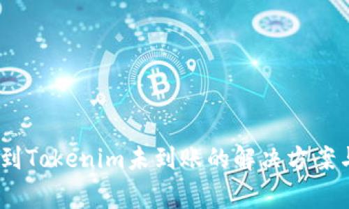 HECO钱包转账到Tokenim未到账的解决方案与常见问题分析