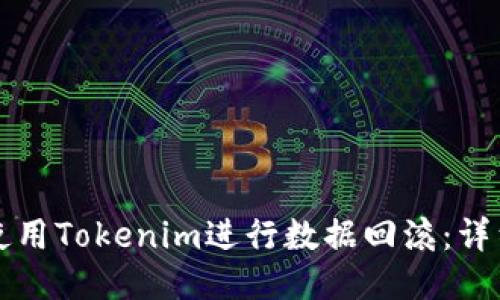 如何使用Tokenim进行数据回滚:详细指南