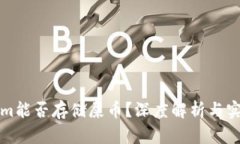 Tokenim能否存储屎币？深度解析与实用