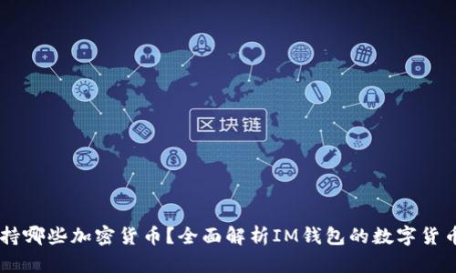 IM钱包支持哪些加密货币?全面解析IM钱包的数字货币存储功能