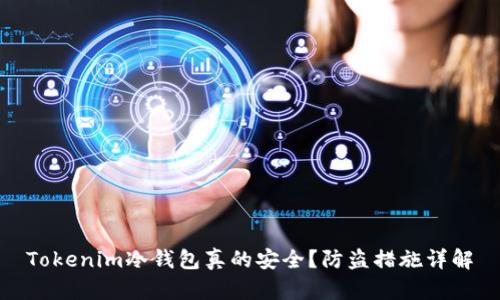 Tokenim冷钱包真的安全?防盗措施详解