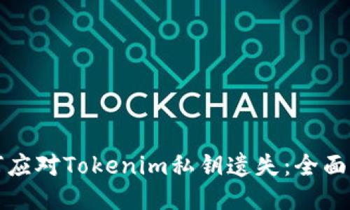 如何应对Tokenim私钥遗失:全面指南