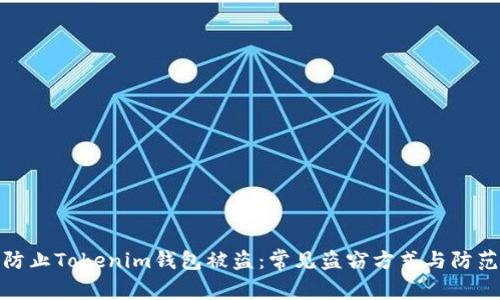 如何防止Tokenim钱包被盗:常见盗窃方式与防范措施