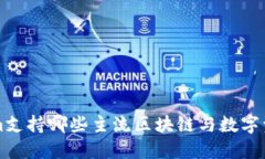 Tokenim支持哪些主流区块链与数字资产