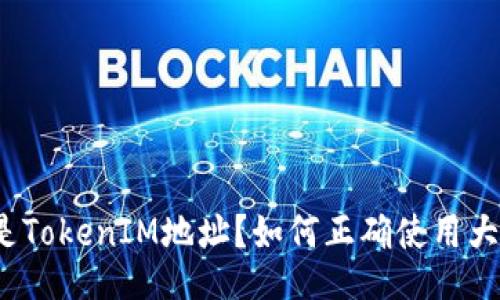 什么是TokenIM地址?如何正确使用大小写?