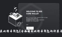 什么是比特币钱包？全面解析比特币钱