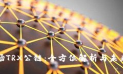 : 波场TRX公链：全方位解析与未来展望