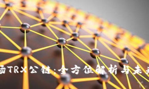 : 波场TRX公链:全方位解析与未来展望