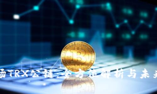 : 波场TRX公链:全方位解析与未来展望