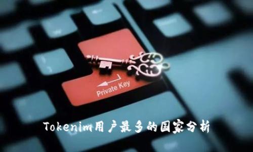 Tokenim用户最多的国家分析