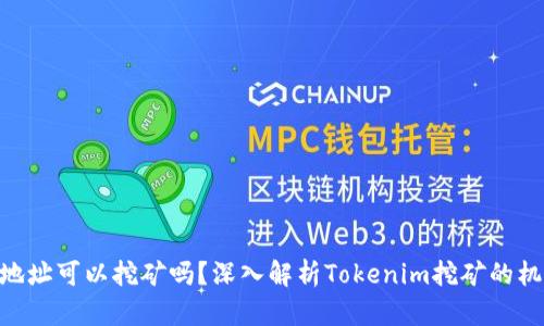 Tokenim地址可以挖矿吗?深入解析Tokenim挖矿的机制与方法