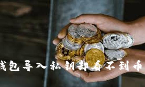 Tokenim钱包导入私钥却看不到币的解决方法