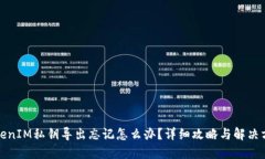 TokenIM私钥导出忘记怎么办？详细攻略
