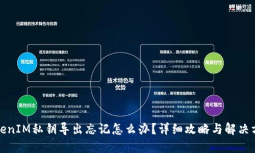 TokenIM私钥导出忘记怎么办?详细攻略与解决方案