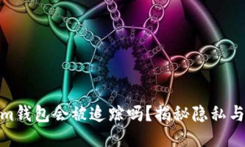 Tokenim钱包会被追踪吗?揭秘隐私与安全性