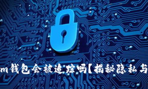 Tokenim钱包会被追踪吗?揭秘隐私与安全性