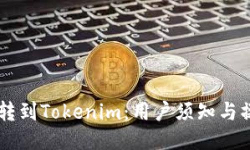 币币网转到Tokenim:用户须知与操作指南