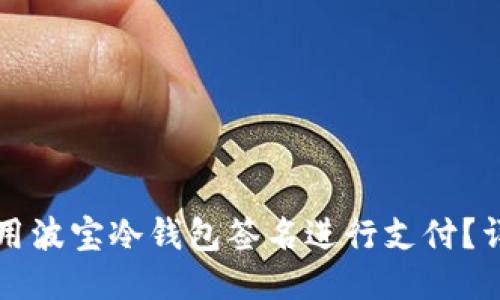 如何使用波宝冷钱包签名进行支付?详细指南