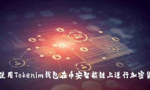 : 如何使用Tokenim钱包在币安智能链上进行加密货币交易