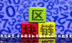 冷钱包恢复：全面指导如何安全找回你