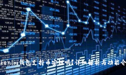 Tokenim钱包支持币安链吗?详细解析与功能介绍