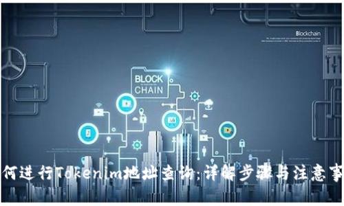 如何进行Tokenim地址查询:详解步骤与注意事项