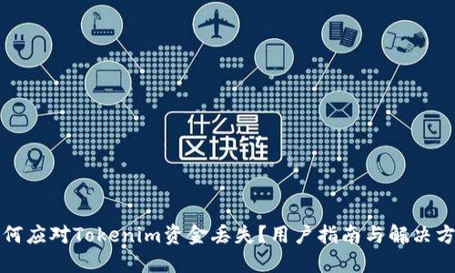 如何应对Tokenim资金丢失？用户指南与解决方案