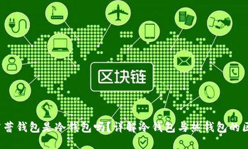 芭蕾钱包是冷钱包吗？详解冷钱包与热钱包的区别