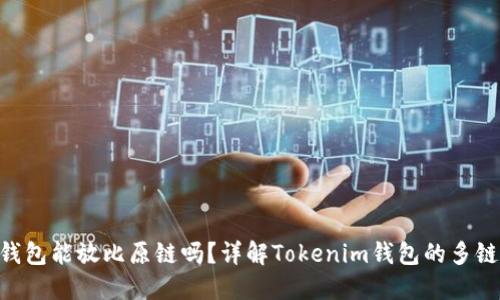 Tokenim钱包能放比原链吗？详解Tokenim钱包的多链资产管理