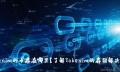 Tokenim的币存在哪里？了解Tokenim的存储
