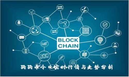 狗狗币今日实时行情与走势分析
