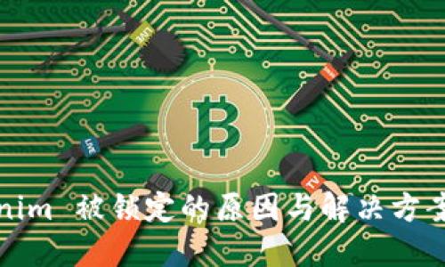 Tokenim 被锁定的原因与解决方案详解
