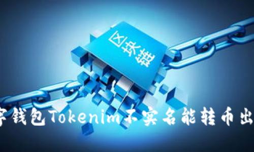 : 数字钱包Tokenim不实名能转币出去吗?