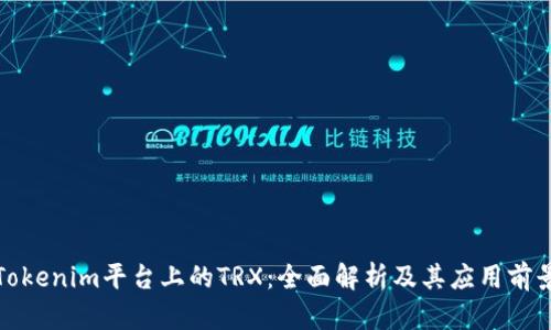 Tokenim平台上的TRX：全面解析及其应用前景