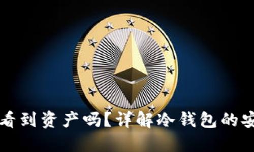 冷钱包不联网能看到资产吗?详解冷钱包的安全性与操作指南