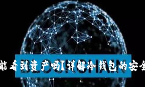 冷钱包不联网能看到资产吗?详解冷钱包的安全性与操作指南