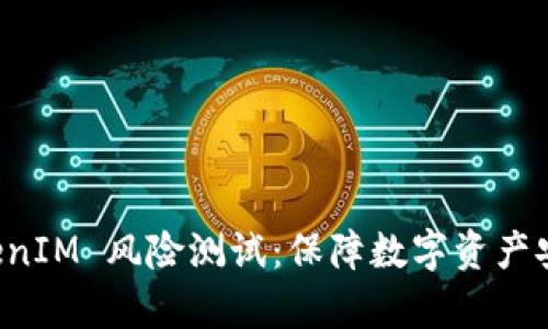 深入解析 TokenIM 风险测试:保障数字资产安全的必备工具