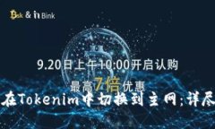 如何在Tokenim中切换到主网：详尽指南