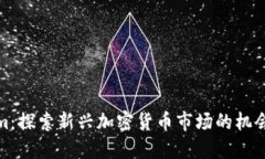Tokenim：探索新兴加密货币市场的机会