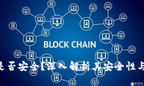 TokenIM是否安全?深入解析其安全性与使用风险