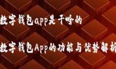 数字钱包app是干啥的数字钱包App的功能