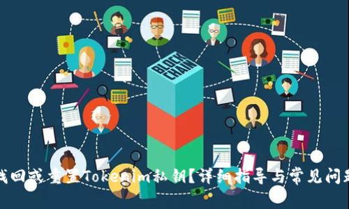 如何找回或重置Tokenim私钥?详细指导与常见问题解答