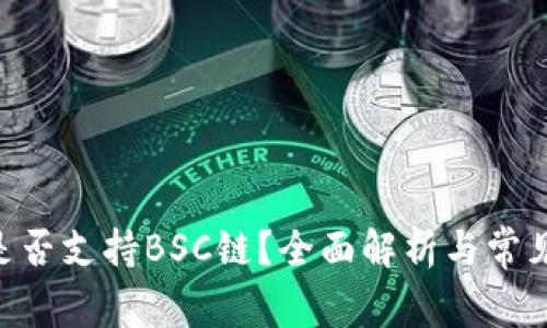 Tokenim是否支持BSC链？全面解析与常见问题解答