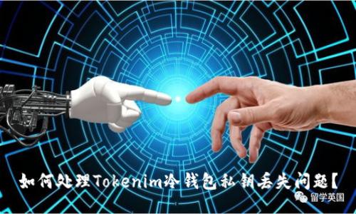 如何处理Tokenim冷钱包私钥丢失问题？