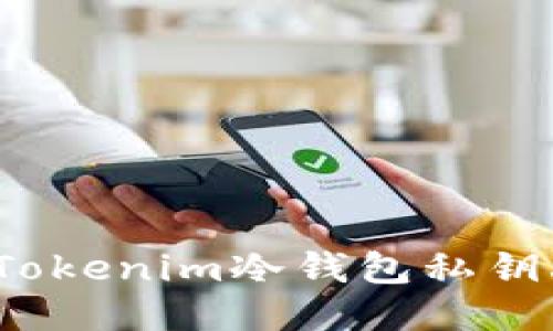 如何处理Tokenim冷钱包私钥丢失问题？