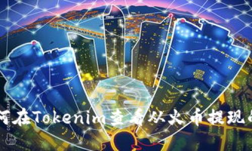 如何在Tokenim查看从火币提现的币